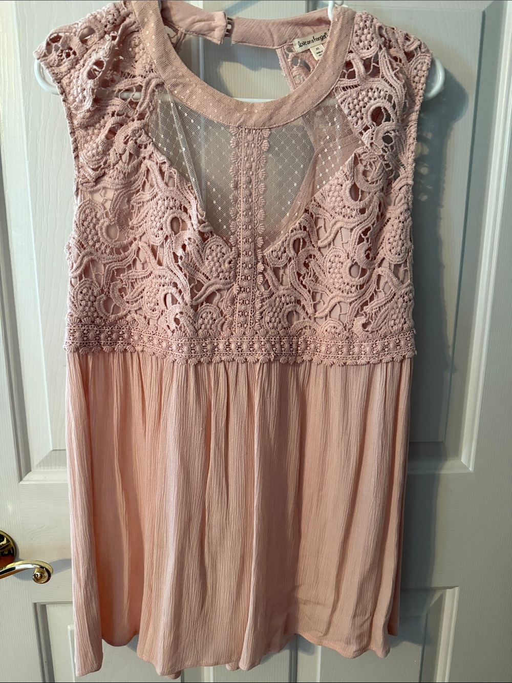 love on a hanger Blush Pink Lace & Chiffon Sleeveless Tunic